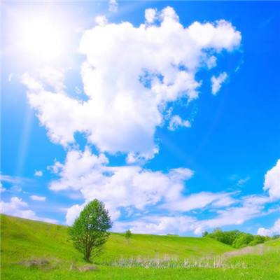 终极起神学院手机版(暂未上线)v1.3.6 安卓版